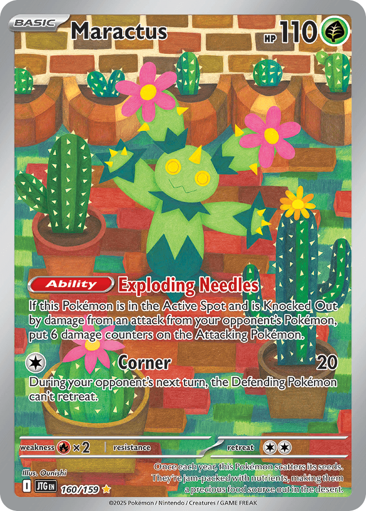 MARACTUS A.A
